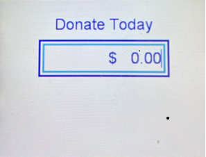 sample Donation screen